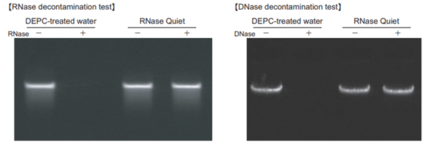 RNase and DNase decontamination of 1.5 ml micro-tubes